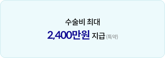 수술비 최대 2,400만원 지급(특약)