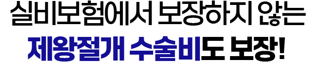 실비보험에서 보장하지 않는 제왕절개 수술비도 보장!