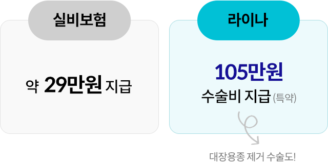 실비보험 약 29만원 지급, 라이나 105만원 수술비 지급(특약) + 대장용종 제거 수술도!