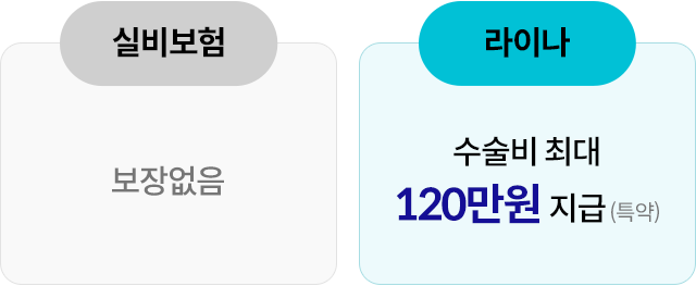 실비보험 보장없음. 라이나 수술비 최대 120만원 지급(특약)