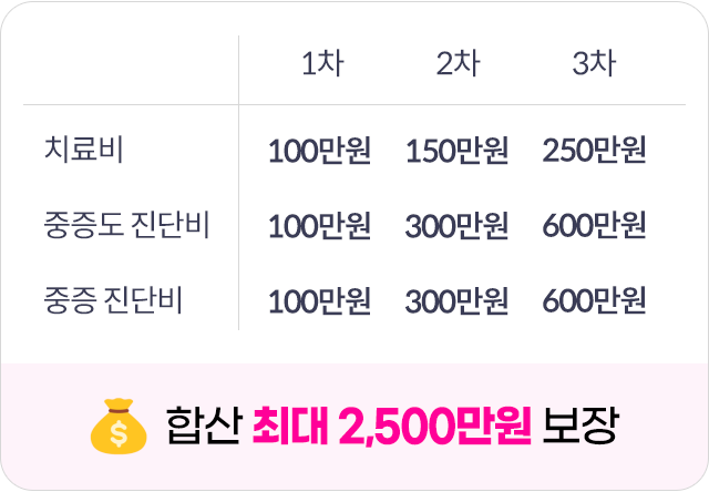 합산 최대 2,500만원 보장