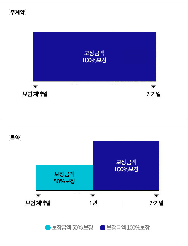 [주계약] 보험 계약일 - 만기일: 보장금액 100% 보장. [특약] 보장 계약일 90일(보장개시일) - 1년: 보장금액 50% 보장, 보장 계약일 1년 - 만기일: 보장금액 100% 보장