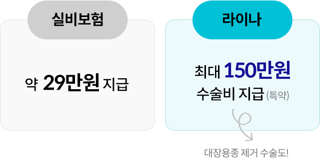 실비보험 약 29만원 지급, 라이나 최대 150만원 수술비 지급(특약) + 대장용종 제거 수술도!