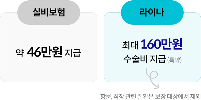 실비보험 약 46만원 지급, 라이나 최대 160만원 수술비 지급(특약) 항문, 직장 관련 질환은 보장 대상에서 제외