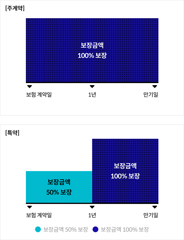 주계약, 특약 보장금액 그래프