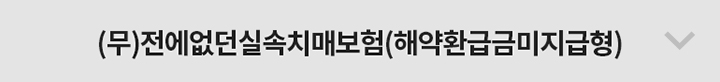 (무)전에없던실속치매보험(해약환급금미지급)