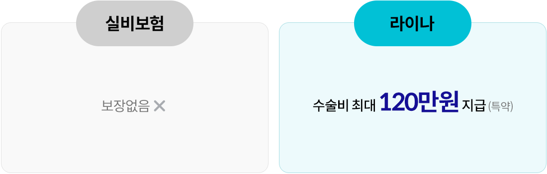 실비보험 보장없음. 라이나 수술비 최대 120만원 지급(특약)