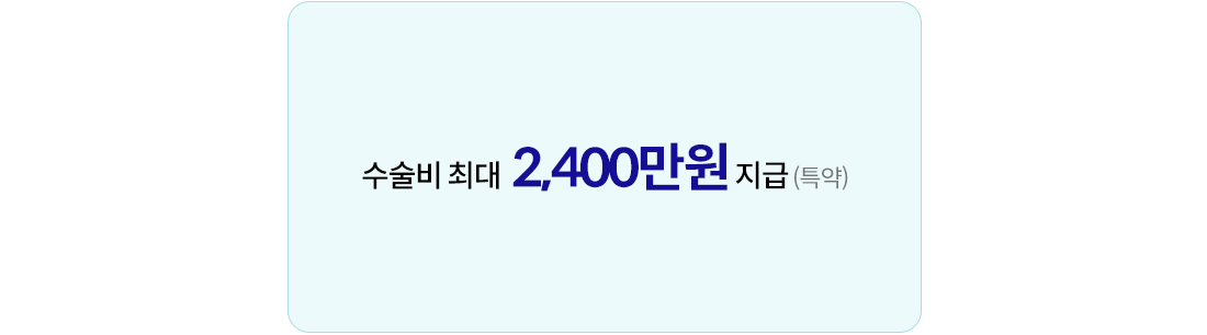 수술비 최대 2,400만원 지급(특약)