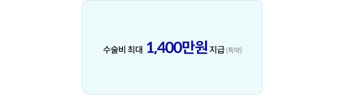 수술비 최대 2,400만원 지급(특약)