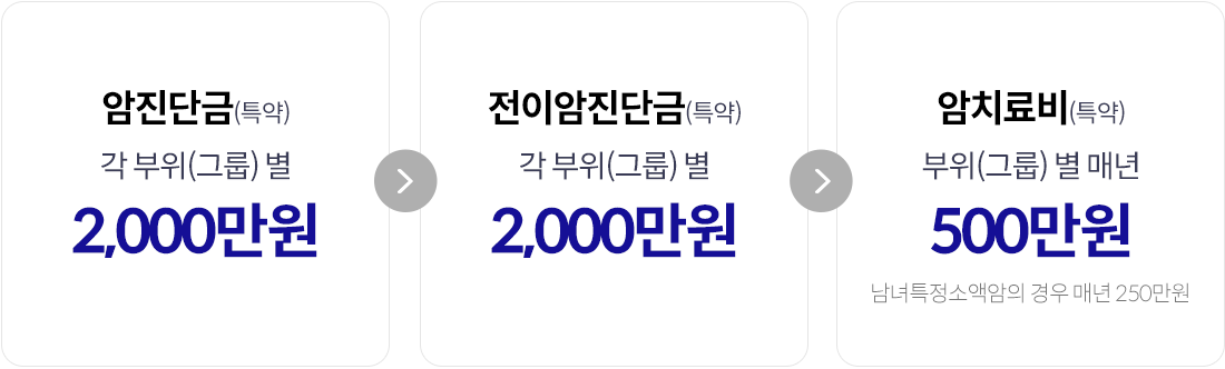 암진단금(특약) 각 부위(그룹)별 2,000만원, 전이암진단금(특약) 각 부위(그룹)별 2,000만원, 암치료비(특약) 부위(그룹)별 매년 500만원, 남녀특정소액암의경우 매년 250만원