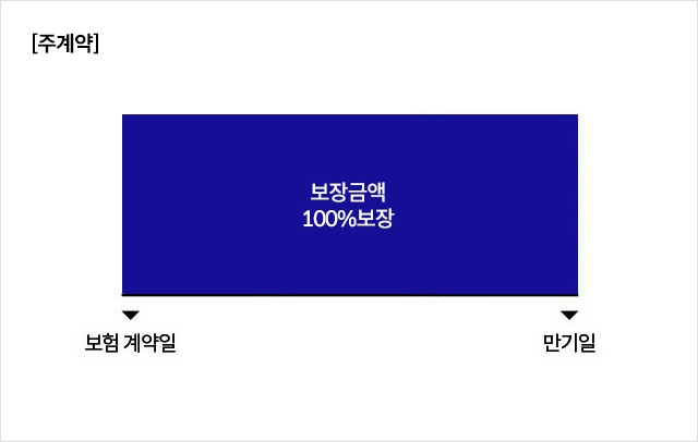 [주계약] 보험 계약일 - 만기일: 보장금액 100% 보장