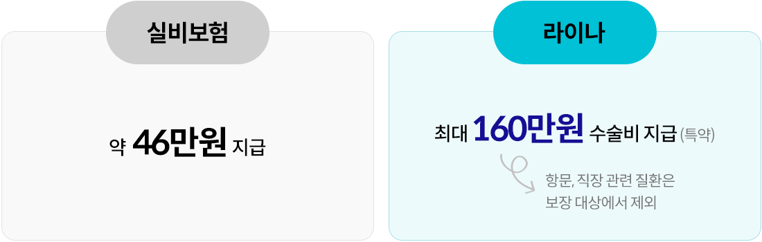 실비보험 약 46만원 지급, 라이나 최대 160만원 수술비 지급(특약) 항문, 직장 관련 질환은 보장 대상에서 제외