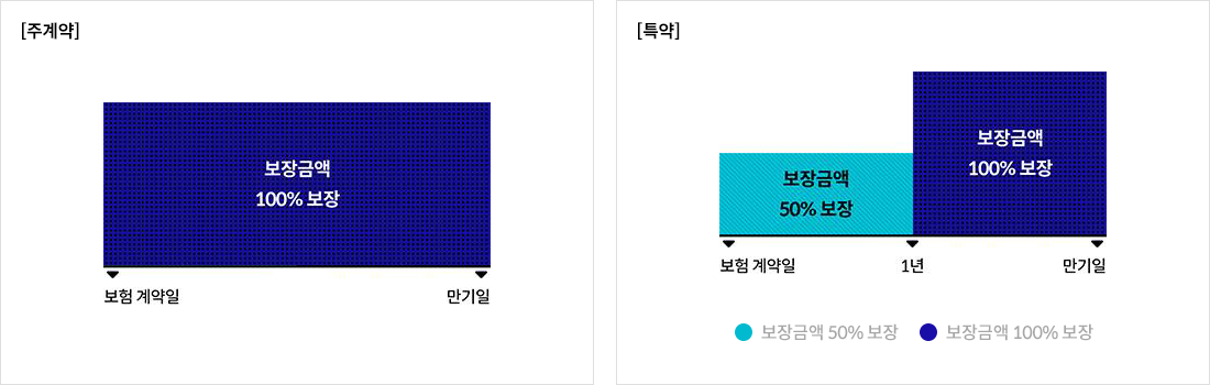 주계약, 특약 보장금액 그래프