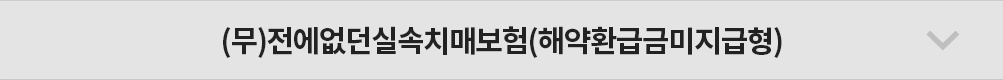 (무)전에없던실속치매보험(해약환급금미지급형)