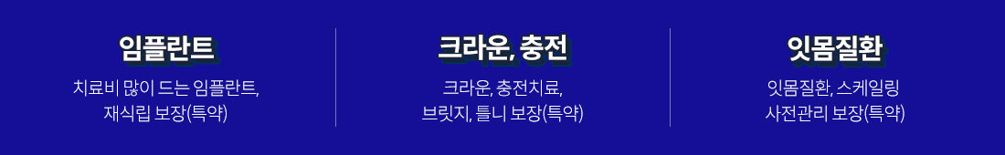 보장내역 요약