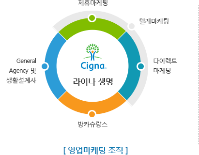 라이나생명 영업마케팅 조직은 방카슈랑스, General Agency 및 생활설계사, 제휴마케팅, 다이렉트마케팅, 텔레마케팅으로 구성됩니다.