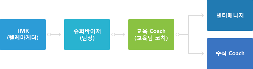 TMR(텔레마케터) → 슈퍼바이저(팀장) → 교육 Coach(교육팀 코치) → 센터매니저 ~ 수석 Coach