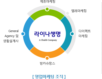 라이나생명 영업마케팅 조직은 방카슈랑스, General Agency 및 생활설계사, 제휴마케팅, 다이렉트마케팅, 텔레마케팅으로 구성됩니다.